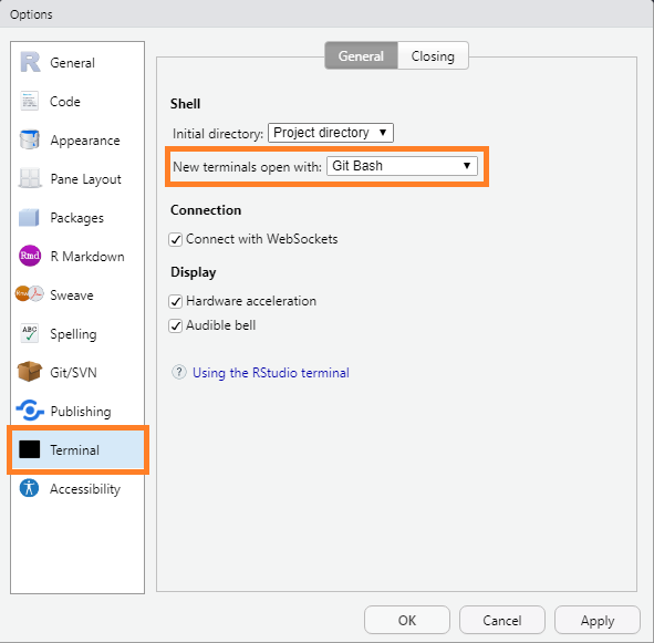 The RStudio Windows Terminal interface.